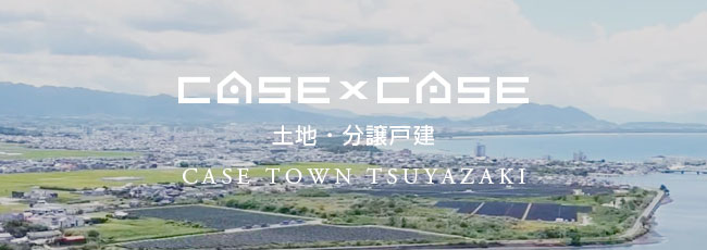 case × case